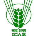 Partner organization 6